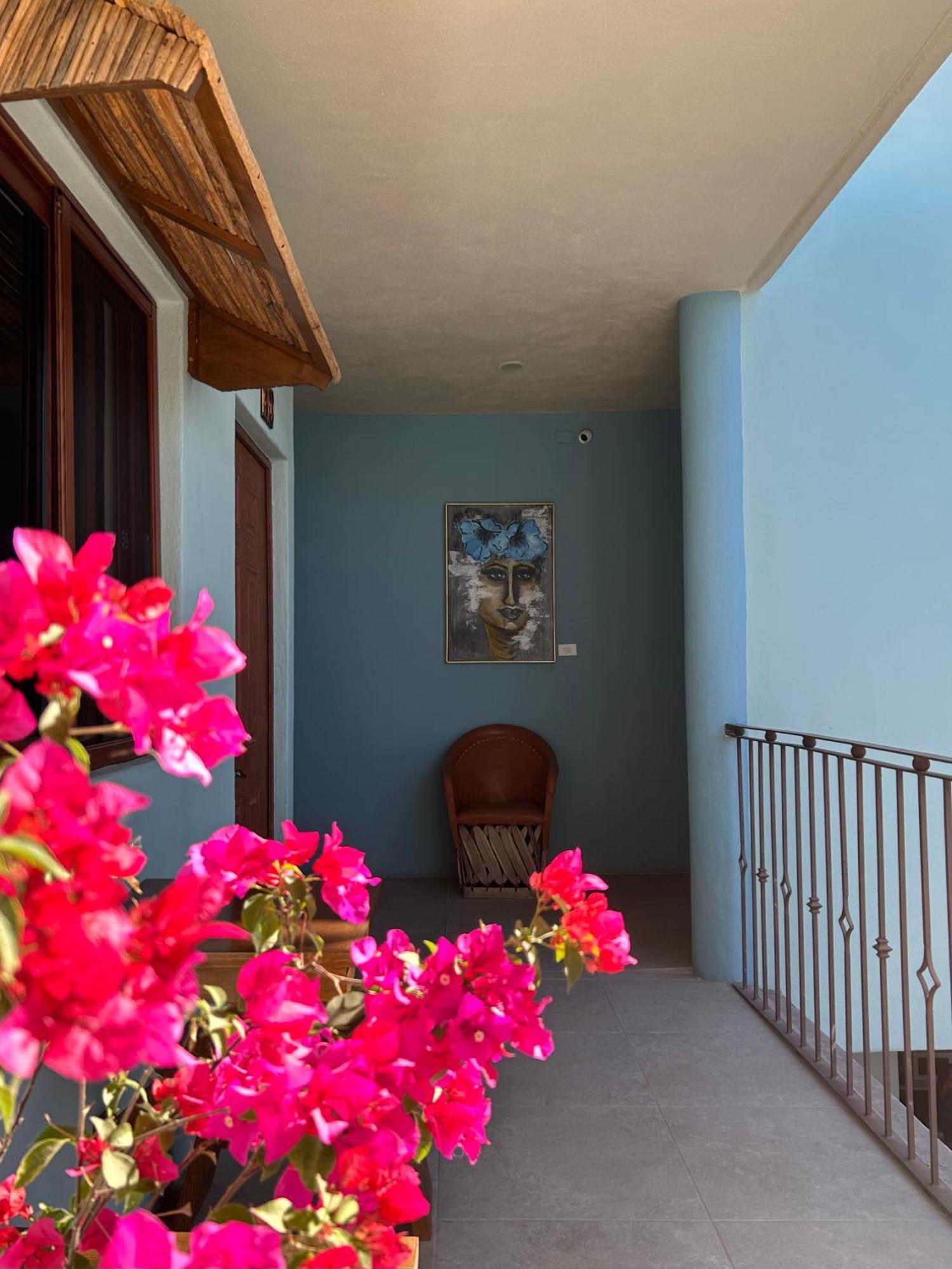 Rosarito Hotel ロレト エクステリア 写真